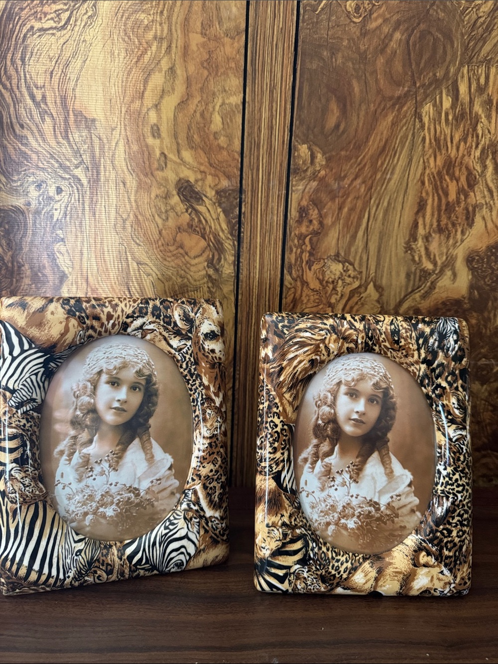 Decorative Leopard & Zebra Print Photo Frame set